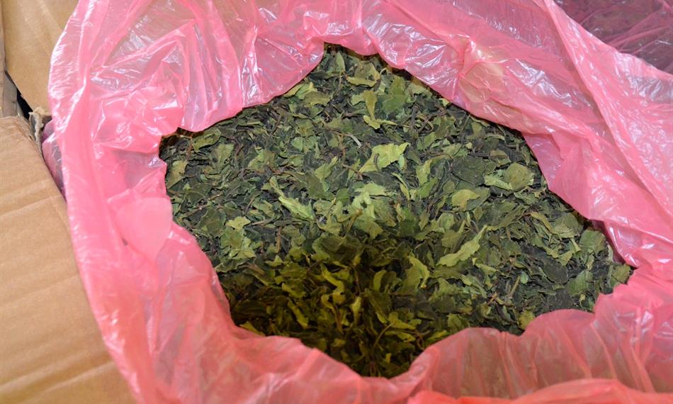 2020-12-28-630foto 3.jpg